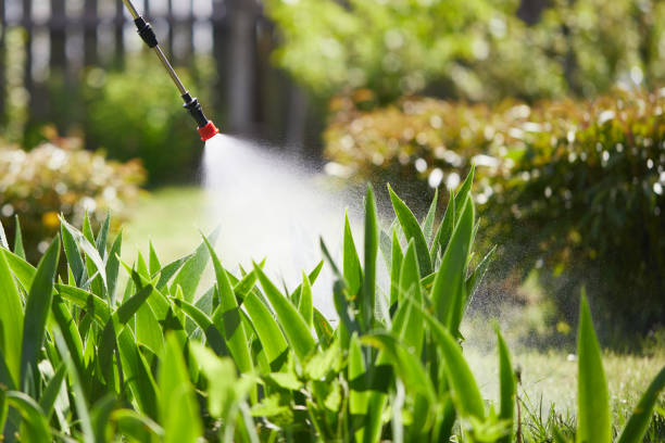 24/7 Emergency Ant Control experts in Copper Canyon, TX